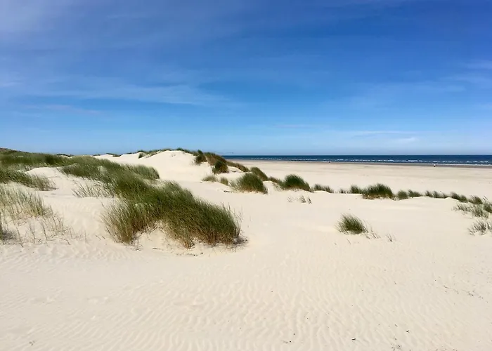 Apartamento Haus Dünenkate Möwennest Juist